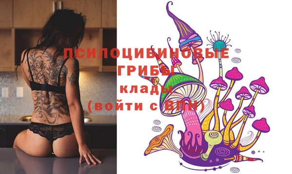 прущая мука Абаза