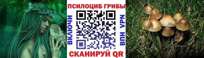 Псилоцибиновые грибы прущие грибы  Хасавюрт 